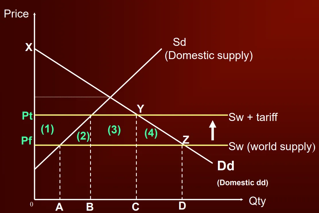 <p>Before tariffs:</p><ul><li><p>consumer surplus: PfXZ</p></li><li><p>domestic output: 0A</p></li><li><p>domestic revenue: 0PfA</p></li><li><p>domestic output: 0B</p></li><li><p>domestic producer surplus: the small triangle below segment PfA</p></li><li><p>imports: AD</p></li><li><p>foreign producer revenue: APfD</p></li></ul><p>After tariffs</p><ul><li><p>consumer surplus: PtXY (lost area 1+2+ 3+4)</p></li><li><p>domestic revenue: 0PtB</p></li><li><p>domestic producer surplus: add area (1)</p></li><li><p>government revenue: area (3)</p></li><li><p>imports: BC</p></li><li><p>foreign producer revenue: BPfC</p></li><li><p>Welfare loss: areas 2+4</p><ul><li><p>Welfare loss comes from increased reliance on less efficient domestic producers as well as loss of consumer surplus from making consumers pay more for the same good</p></li></ul></li></ul><p><strong>Beneficiaries of tariffs</strong></p><ul><li><p>Domestic producers</p></li><li><p>Workers in protected industries</p></li><li><p>Government (tariff revenue)</p></li></ul><p><strong>Losers from tariffs</strong></p><ul><li><p>Domestic consumers</p></li><li><p>Foreign firms</p></li><li><p>Increased inefficiency of production</p></li><li><p>Misallocation of resources</p></li></ul><p></p>