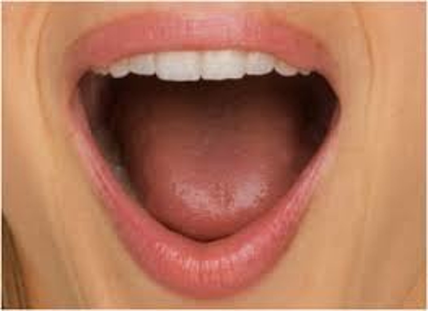 <p>mouth</p>
