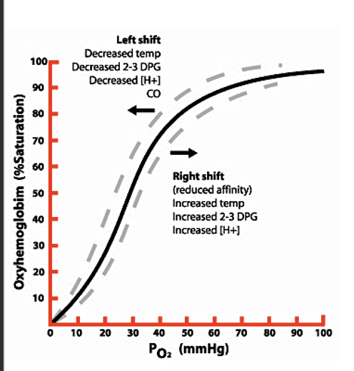 <p>shows the saturation of hemoglobin with O2 </p><ul><li><p>PO2 40 mm Hg = 72% saturation </p></li></ul><p></p>