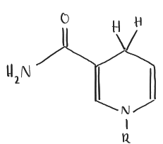 <p>H wird oben angefügt; bei NAD<sup>+</sup> sind im Ring 3 Doppelbindungen!</p>
