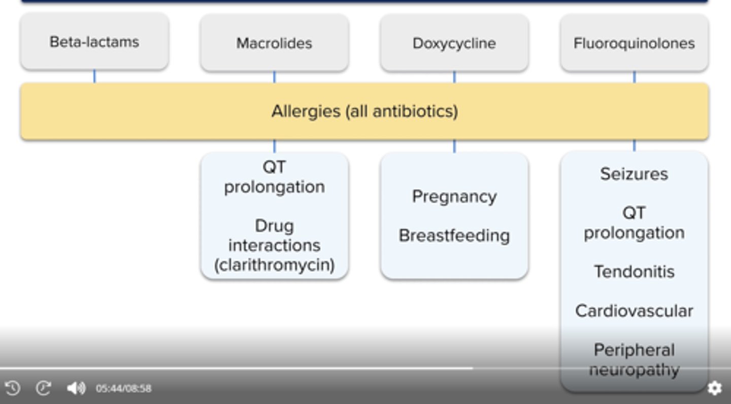 <p>all: allergies</p><p>macorlides (eg. azith): qt prolong, drug interactions (clarith mainly)</p><p>doxy: good for risk of qt prolon pts. dont use in preg, breastfeeding</p><p>fqs: szs, qt prolong, tendonitis, cardiovascular, peripheral neuropathy, avoid also in preg</p>