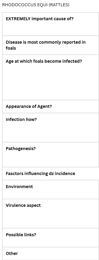 <p>BACTERIAL PNEUMONIA IN OLDER FOALS - Rhodococcus equi</p>