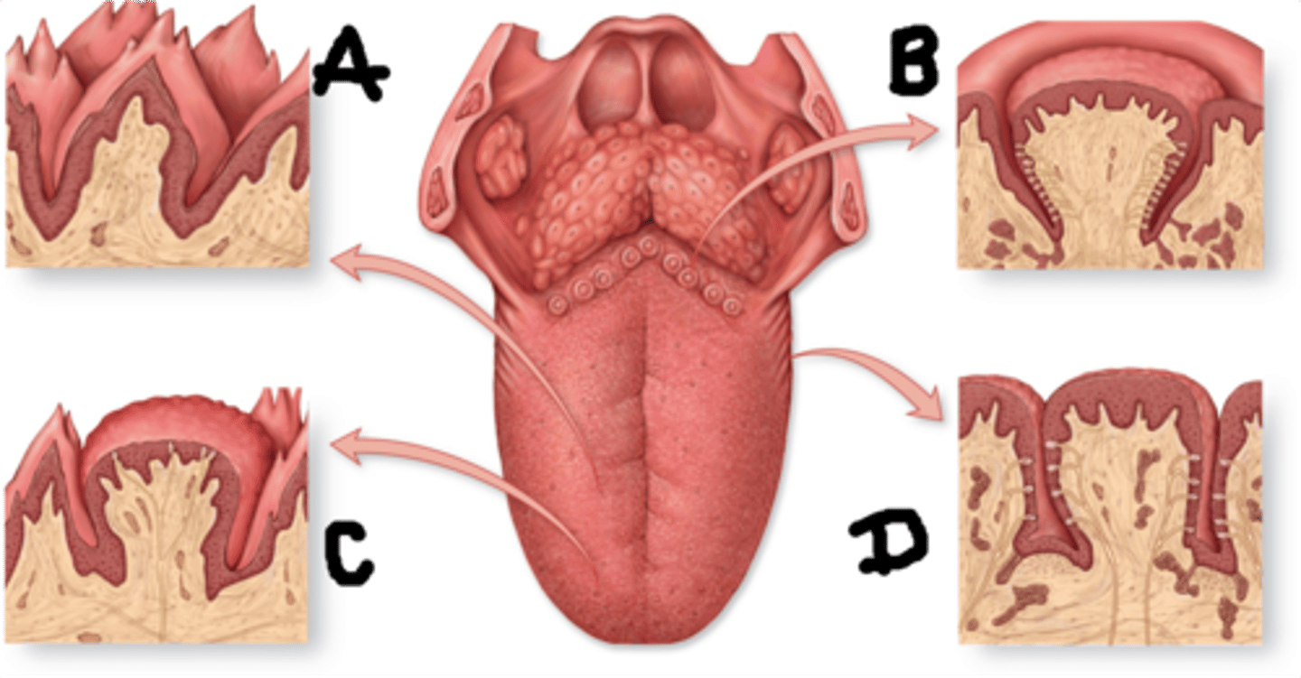 <p>What is A?</p>