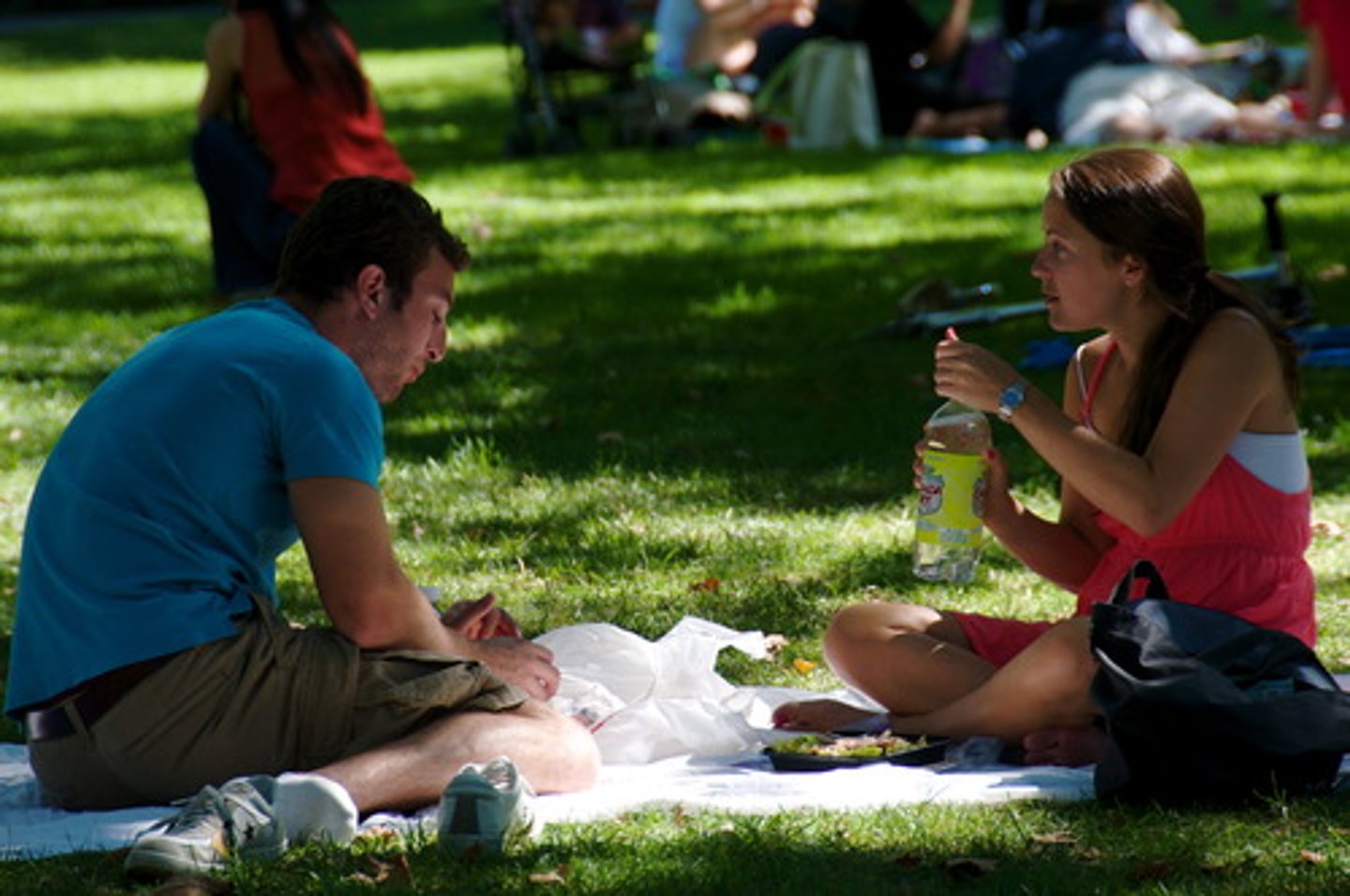 <p>to have a picnic</p>