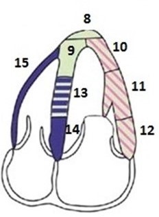 <p>Name the wall segments for 4C</p>