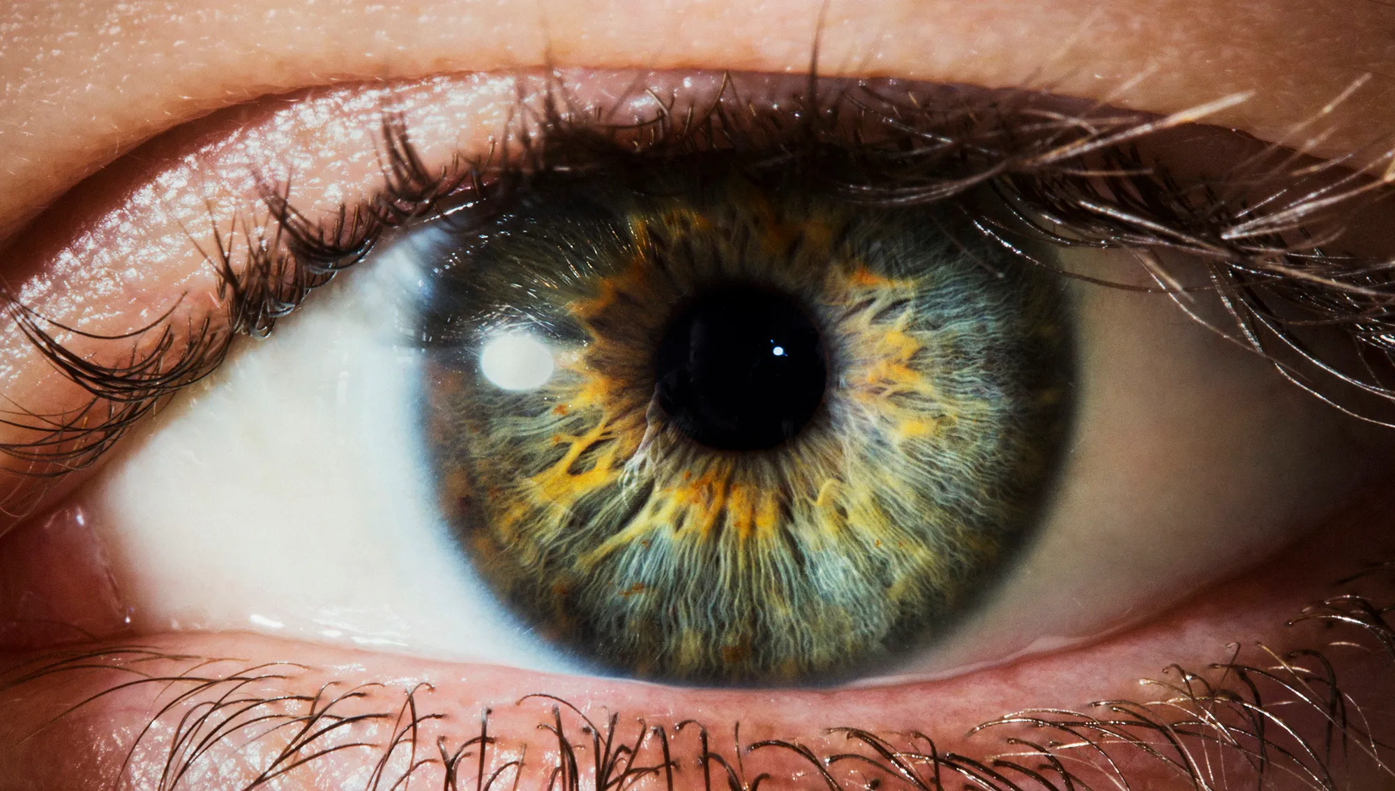 <p>un oeil / les yeux</p>