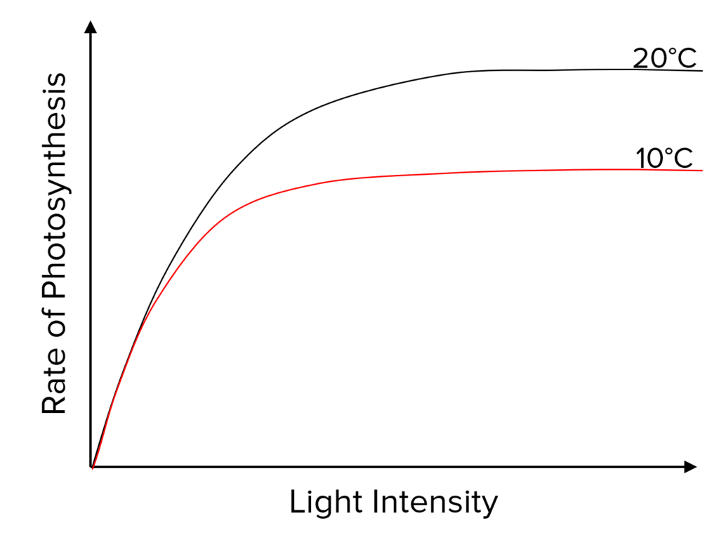 <p>what does the graph show </p>