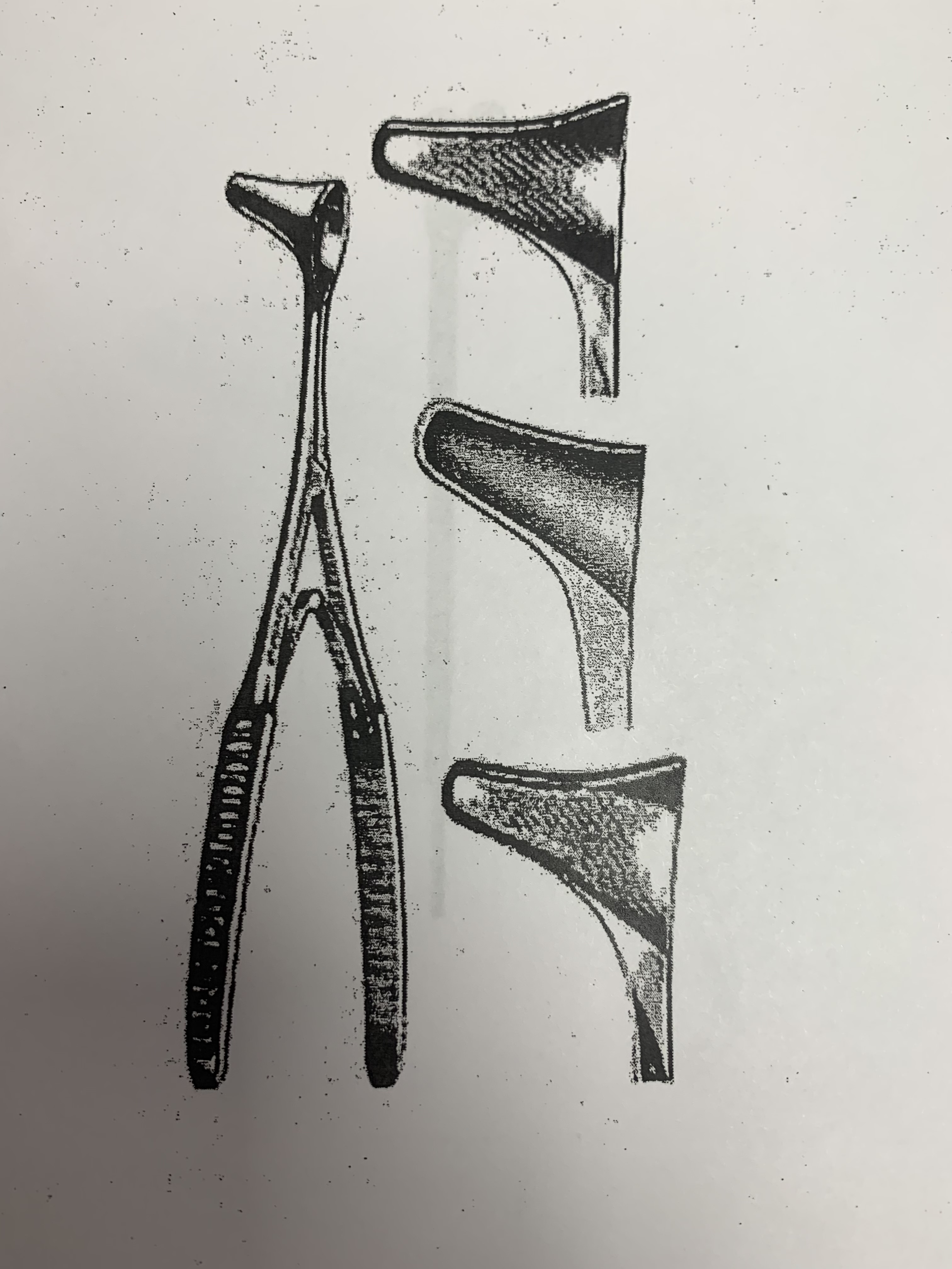 term image