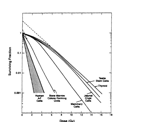 <p>False: all cells have the same shape. The only way the shape of the curve will look different is if you hit it with particulate radiation, they just go straight down. No shoulder</p>