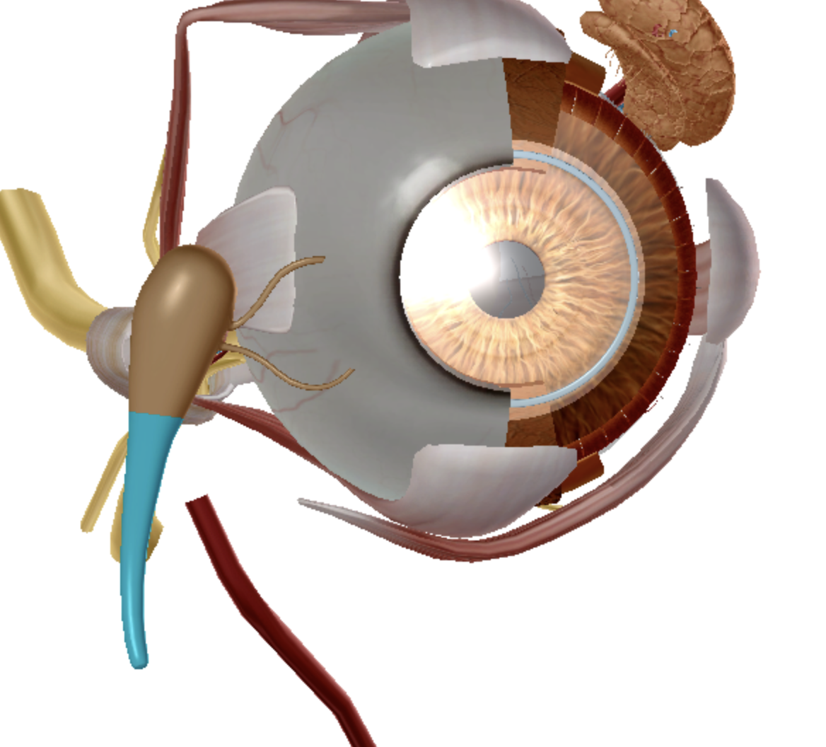 <p>what is highlighted </p>