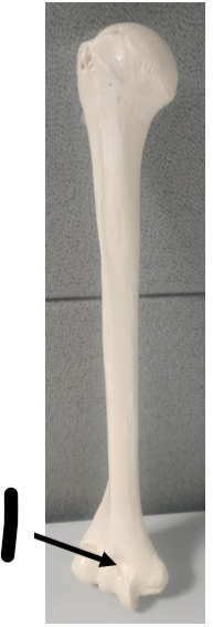 <p>What is this?</p>
