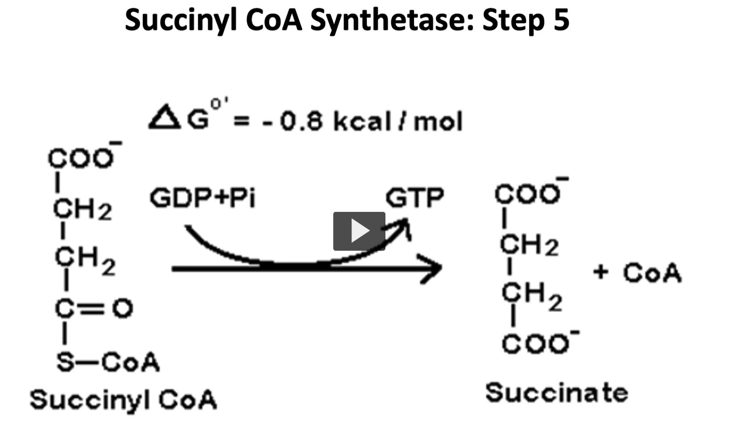 <p>the fifth step is a reversible reaction in which succinyl coa is converted to succinate, and GTP is formed by substrate level phosphorylation.</p><p>this GTP is then converted to ATP by the nucleoside triphosphate kinase.</p><p>succinyl Coa, GDP + Pi, GTP, succinate</p><p><u>The Reaction (Step 5)</u></p><p><span>Succinyl-CoA +GDP +Pi → Succinate + GTP + CoA−SH</span></p><p>Enzyme: <strong>Succinyl-CoA synthetase</strong> (also called <strong>succinate thiokinase</strong>)</p><p>This reaction uses the <strong>energy of the thioester bond</strong> in succinyl-CoA to make <strong>GTP</strong>.</p><p><u>1. Succinyl-CoA Etymology </u></p><p><strong>Succinyl</strong></p><ul><li><p>from <strong>succinic acid</strong></p></li><li><p>Latin <strong>succinum</strong> = amber<br>(succinic acid was first isolated from amber)</p></li></ul><p><strong>-yl</strong></p><ul><li><p>chemical suffix meaning <strong>derived group</strong></p></li></ul><p>So <strong>succinyl = the acyl group derived from succinic acid</strong>.</p><p><strong><u>CoA</u></strong></p><p><strong>Coenzyme A</strong></p><ul><li><p><strong>co-</strong> = helper</p></li><li><p><strong>enzyme</strong> = assists enzymes</p></li><li><p><strong>A</strong> originally referred to <strong>acetyl transfer</strong></p></li></ul><p>CoA carries <strong>acyl groups using a sulfhydryl (-SH)</strong>.</p><p><strong>Succinyl-CoA = a 4-carbon succinyl group attached to coenzyme A</strong></p><p>It contains a <strong>high-energy thioester bond</strong>.</p><p>Use </p><p>The energy of that bond is used to produce <strong>GTP</strong>.</p><p><u>2. GDP Etymology </u></p><p><strong>G</strong> = guanine (nitrogenous base)</p><p><strong>D</strong> = di (two)</p><p><strong>P</strong> = phosphate</p><p>So: <strong>GDP = guanosine diphosphate</strong></p><p>Structure:</p><ul><li><p>guanine base</p></li><li><p>ribose sugar</p></li><li><p><strong>2 phosphates</strong></p></li></ul><p>Use </p><p>GDP receives a phosphate to become <strong>GTP</strong></p><p>3. Pi Meaning </p><p><strong>Pi = inorganic phosphate</strong></p><p>Etymology:</p><ul><li><p><strong>P</strong> = phosphate</p></li><li><p><strong>i</strong> = inorganic</p></li></ul><p>Use </p><p>Pi provides the phosphate that converts <strong>GDP → GTP</strong>.</p><p><u>4. GTP Etymology </u></p><p><strong>G</strong> = guanine<br><strong>T</strong> = tri (three)<br><strong>P</strong> = phosphate</p><p><strong>GTP = guanosine triphosphate</strong></p><p>Use </p><p>GTP is an <strong>energy molecule</strong>, similar to ATP.</p><p>It can:</p><ul><li><p>power some cellular reactions</p></li><li><p>or be converted into <strong>ATP</strong>.</p></li></ul><p><u>5. Succinate Etymology </u></p><p><strong>Succinate</strong></p><p>From <strong>succinic acid</strong> (amber acid).</p><p>Succinate is a <strong>4-carbon Krebs cycle intermediate</strong>.</p><p>It continues to the next step of the cycle.</p><p>6. Substrate-level phosphorylation Etymology </p><p><strong>substrate</strong></p><p>the molecule being acted upon in the reaction.</p><p><strong>phosphorylation</strong></p><ul><li><p><strong>phospho</strong> = phosphate</p></li><li><p><strong>-ylation</strong> = adding a group</p></li></ul><p>A <strong>phosphate group is directly transferred to GDP</strong> to make GTP.</p><p>This is different from oxidative phosphorylation.</p><p><u>6. Substrate-level phosphorylation Etymology </u></p><p><strong>substrate </strong>the molecule being acted upon in the reaction.</p><p><strong>phosphorylation</strong></p><ul><li><p><strong>phospho</strong> = phosphate</p></li><li><p><strong>-ylation</strong> = adding a group</p></li></ul><p>Meaning  A <strong>phosphate group is directly transferred to GDP</strong> to make GTP.</p><p>This is different from oxidative phosphorylation.</p><p><u>7. Nucleoside triphosphate kinase Etymology </u></p><p><strong>nucleoside: </strong>base + sugar</p><p><strong>triphosphate: </strong>three phosphates</p><p><strong>kinase: </strong>enzyme that transfers a phosphate</p><p>Reaction <span>GTP+ADP→GDP+ATP</span></p><p>Meaning: The enzyme <strong>transfers the phosphate from GTP to ADP</strong>, producing <strong>ATP</strong></p><p>Putting the whole puzzle together </p><p>Step-by-step:</p><ol><li><p><strong>Succinyl-CoA has a high-energy thioester bond</strong>.</p></li><li><p>Breaking that bond releases energy.</p></li><li><p>That energy adds <strong>Pi to GDP</strong>, forming <strong>GTP</strong>.</p></li><li><p>CoA is released.</p></li><li><p>The remaining molecule becomes <strong>succinate</strong>.</p></li><li><p>GTP can then transfer its phosphate to ADP → <strong>ATP</strong>.</p></li></ol><p></p>