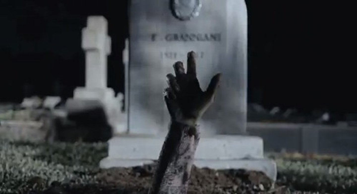 <p>sự hồi sinh</p>