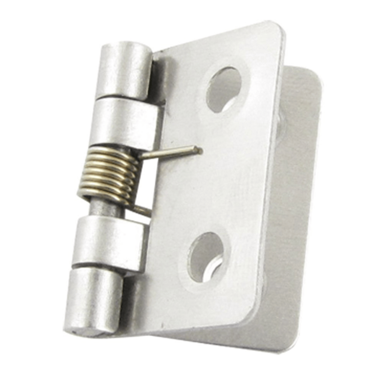 <p>A hinge containing a coiled spring in its barrel for closing the door automatically</p>