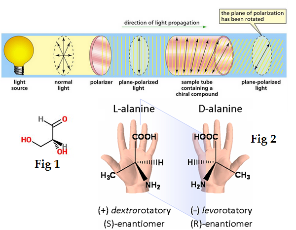 <p>Dextrorotatory</p>