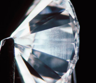 <p>What inclusions is this?</p>
