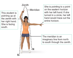 <p>Meridian </p>