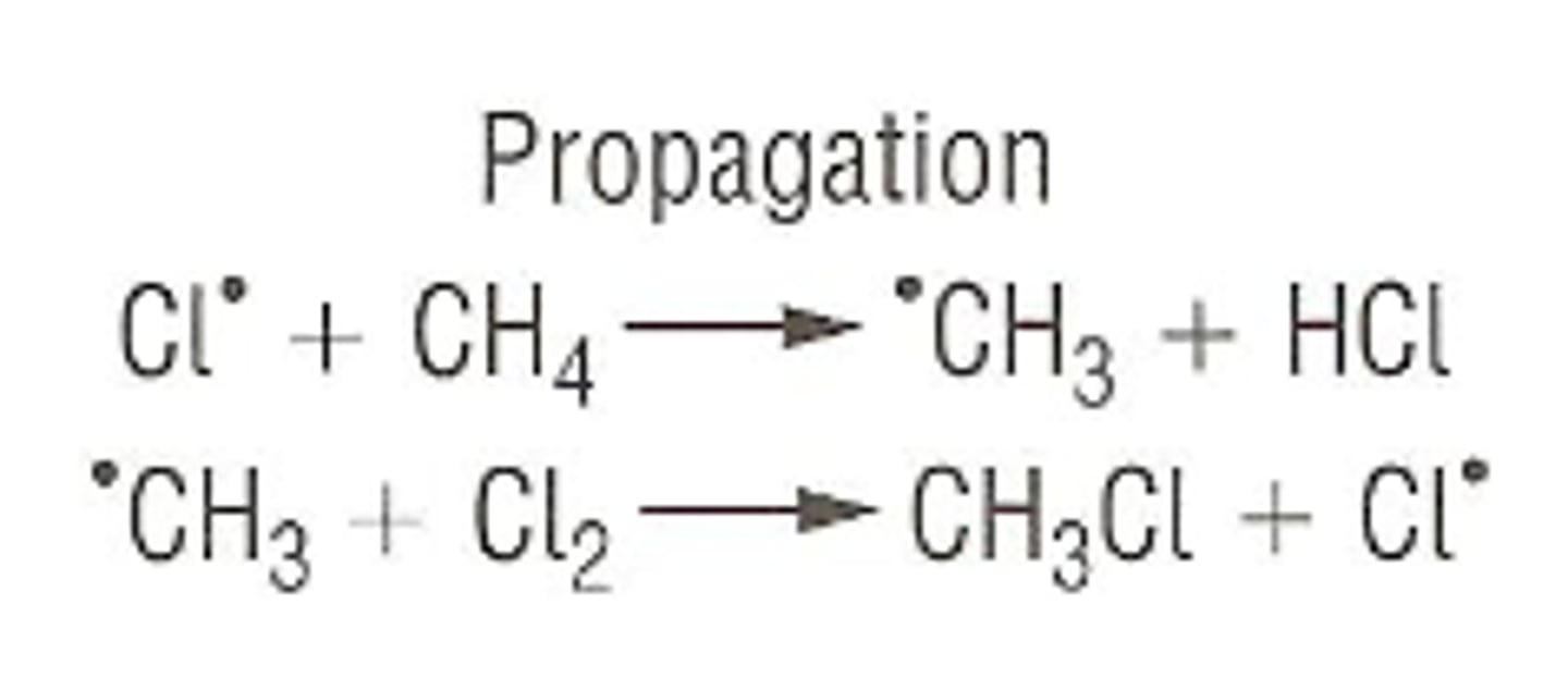 <p>Chain part of the reaction where products are formed but free radical remains</p>
