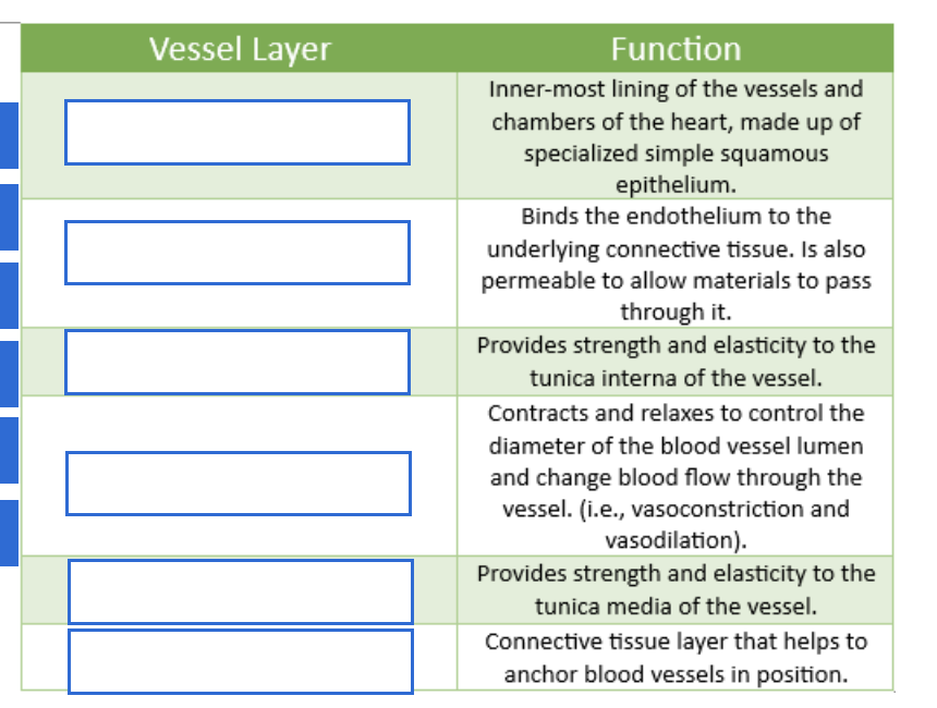 <p>Fill out this function chart</p>