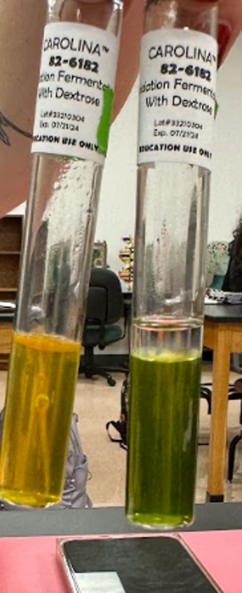<p>What does 1 green and 1 yellow tube mean</p>