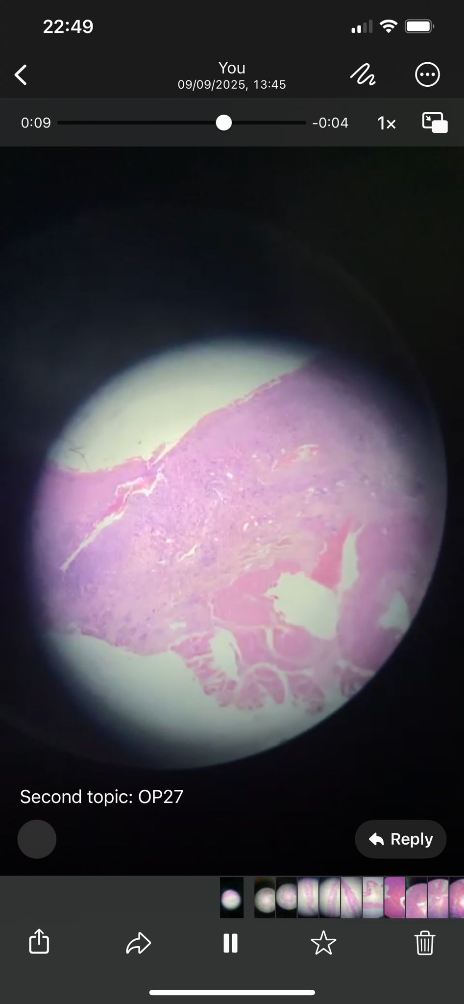 knowt flashcard image