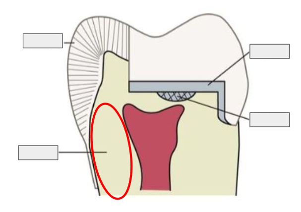 <p>What is this?</p>
