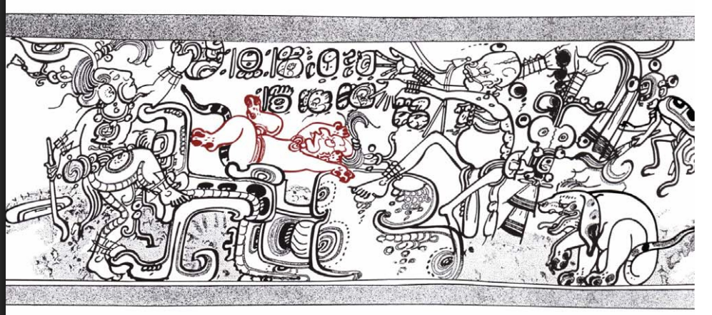 term image