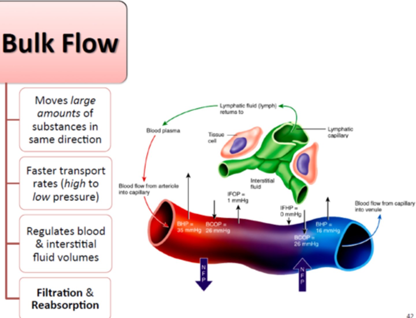 <p>What is bulk flow? </p>