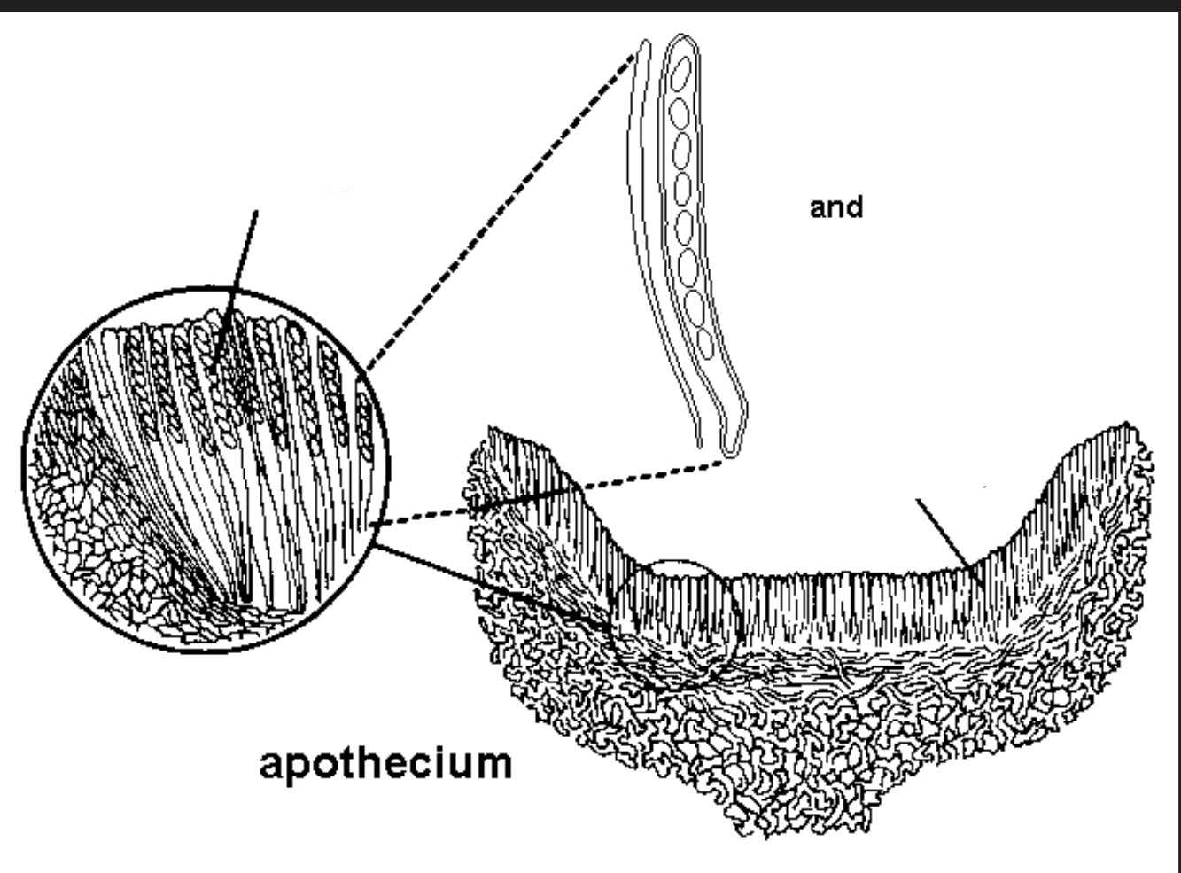 TRY TO IDENTIFY THE PARTS 