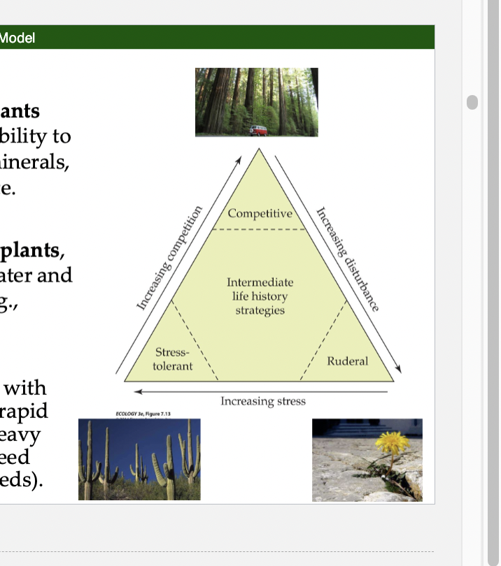 <p>Stress- Tolerant Plants</p>