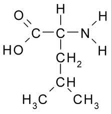 <p>name the aminoacid, group and structure facts?</p>