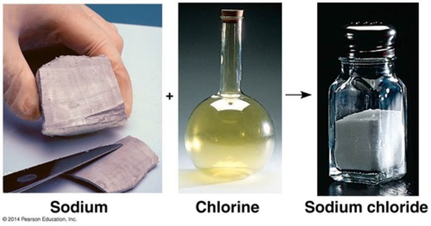 <p>Electrical attraction between oppositely charged ions.</p>