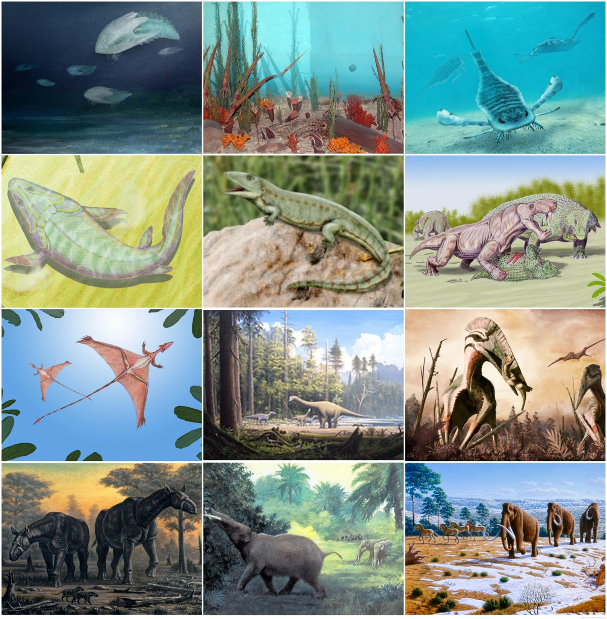 <p>541mya-present day</p>