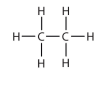 <p>2 Carbons</p>