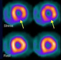 <p>What type of study is this?</p>