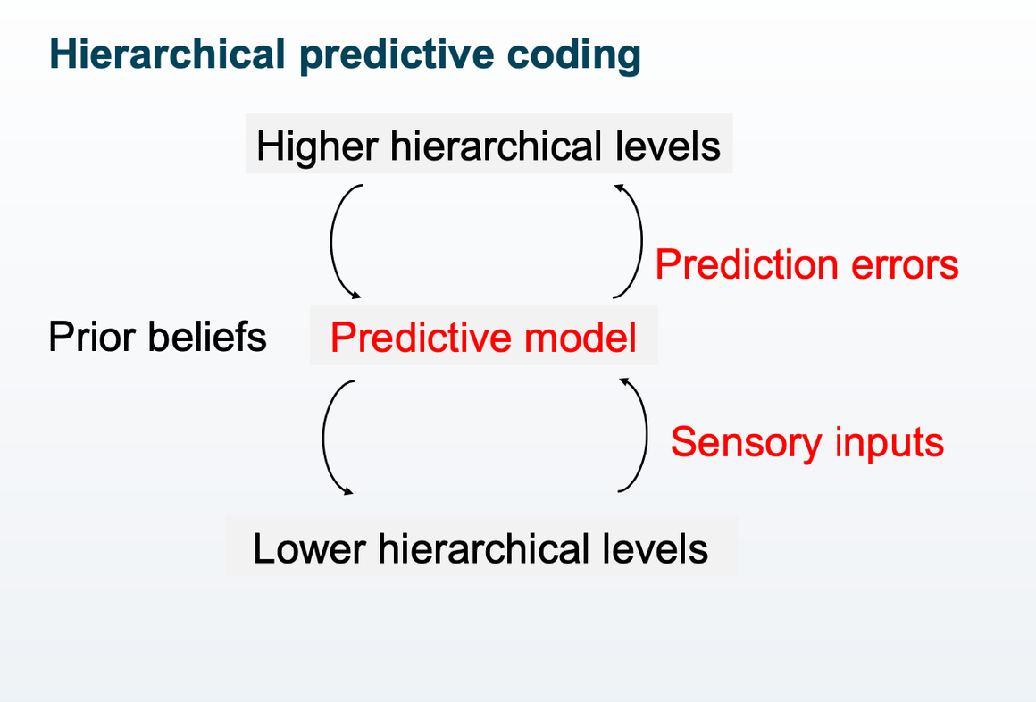 <ul><li><p>true</p></li><li><p>different levels of hierarchy in information processing</p></li><li><p>highest hierarchy can be considered to be schema</p></li></ul>