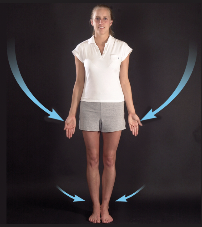 <p>the movement in the frontal plane back toward the midline</p>