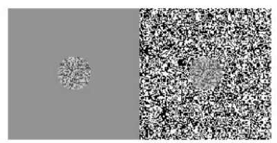 term image