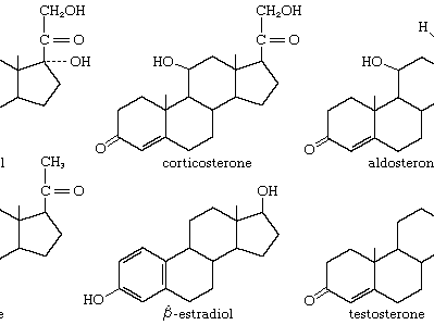 <p>Steroids (cholesterol)</p>