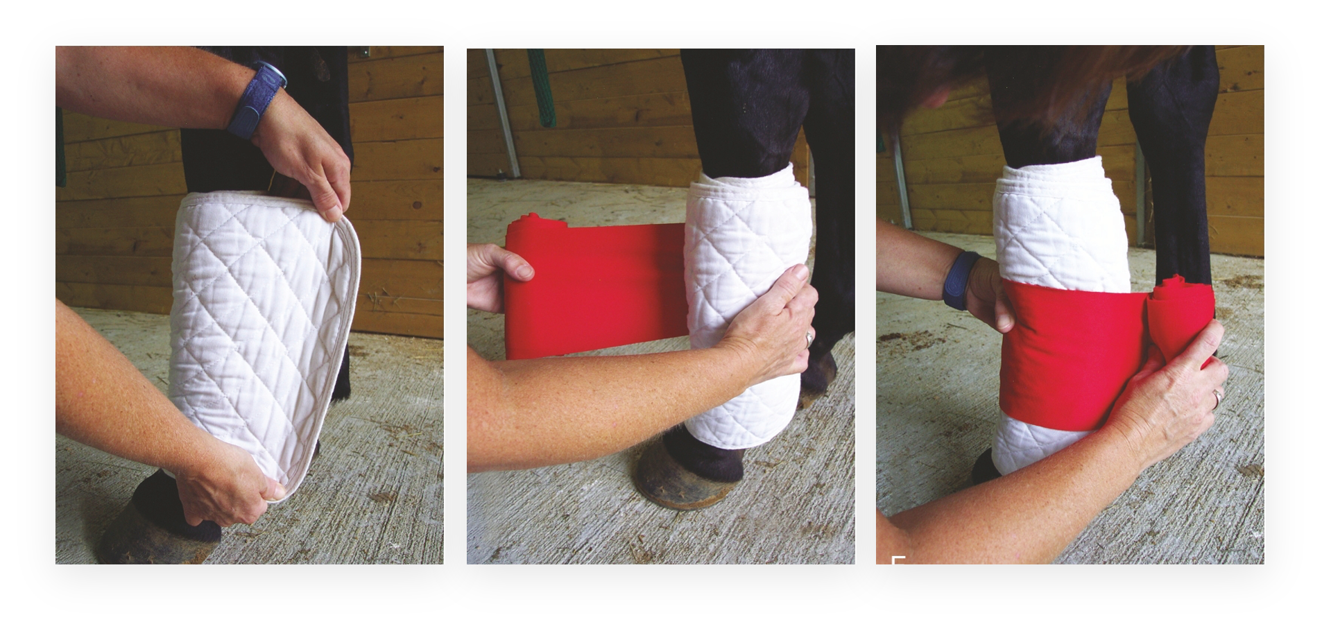 <p>Exercise Wraps (a.k.a. Polo Wraps)</p>