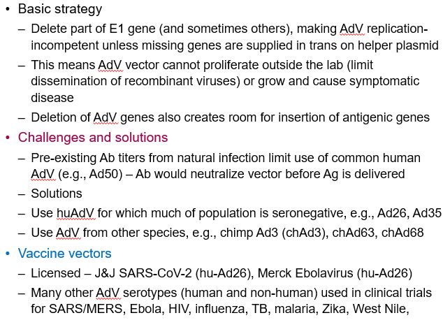 <p>Scientists <strong>remove important genes</strong> from the adenovirus (like E1) so it <strong>can’t grow or cause illness</strong>. Then, they <strong>add vaccine genes</strong> so the virus can <strong>safely deliver instructions</strong> to the body and <strong>trigger an immune response</strong>.</p><p></p><ul><li><p>This makes the virus safe and helps deliver the vaccine.</p></li><li><p>Example: Johnson &amp; Johnson COVID-19 vaccine uses this technology.</p></li></ul><p></p>