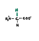 <p>The simplest amino acid with non-polar side chain.</p>