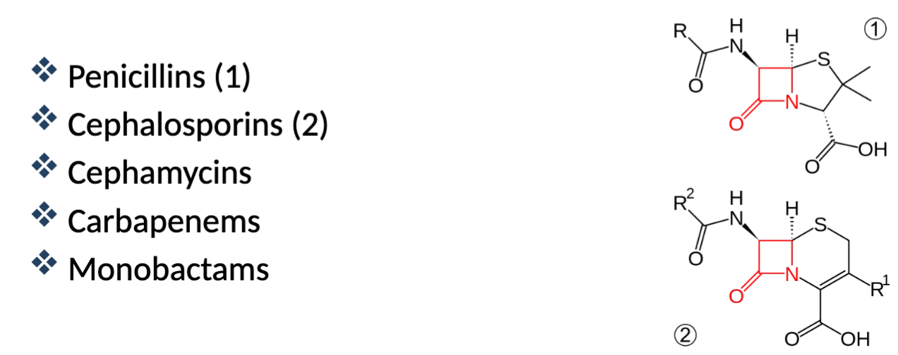 <p>Beta Lactam ring (determines activity), weak acids, very WIDE safety margin, BACTERIOCIDAL, Spectrum: Gram positive→broad spectrum</p>