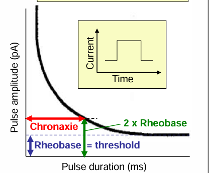 <p>Rheobase: the minimum current needed to rogger an action potential if applied for a very long duration. UNIT OF RHEOBASE = PICOAMPERES</p><p>Chronaxie: the time required to reach the threshold if the current is twice the rheobase. UNIT OF CHRONXIE = Milliseconds</p>