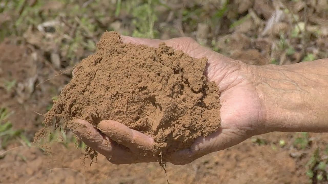 <p>Silt</p>