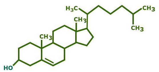 <p>The compound shown below has _____________&nbsp;&nbsp;carbon atoms in its structural formular.</p>