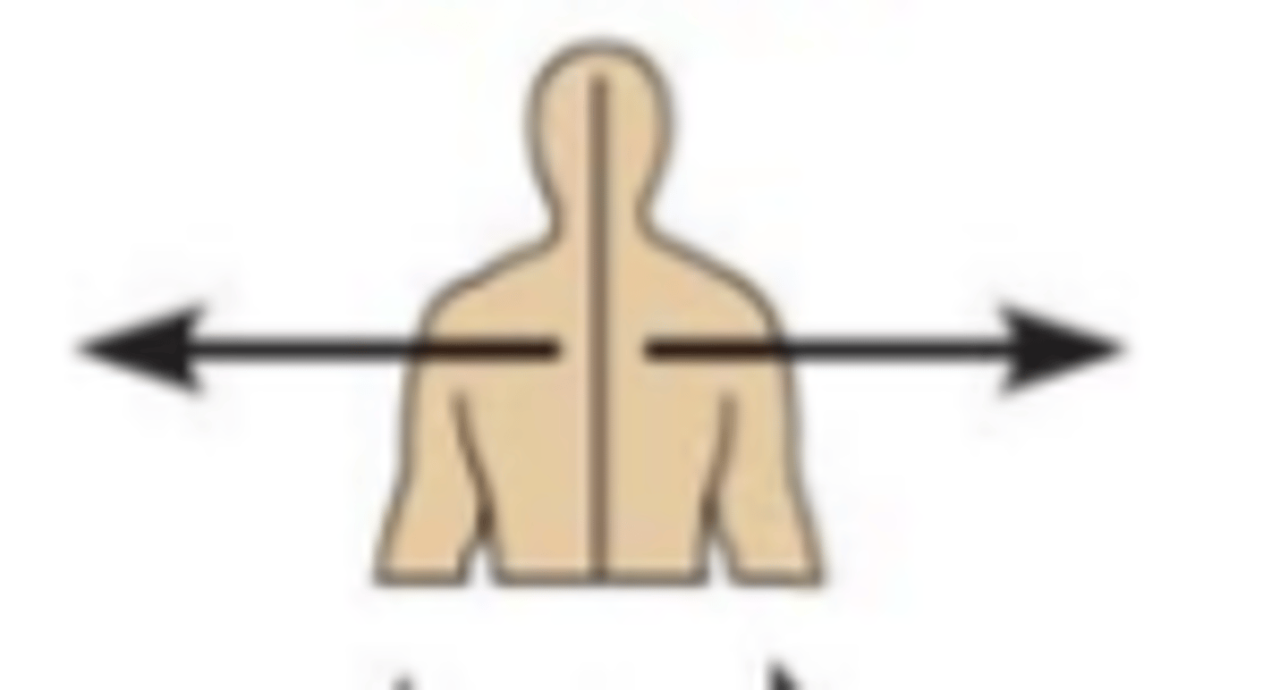 <p>Away from the midline of the body; on the outer side of</p>