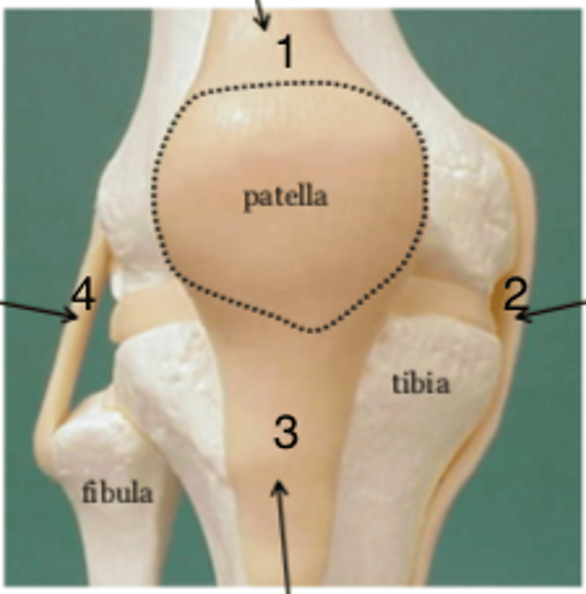 <p>1</p>