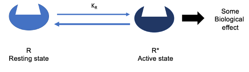 <p>Difference Between Constitutively Active Receptors and Regular Receptors in the Two-State Model</p>