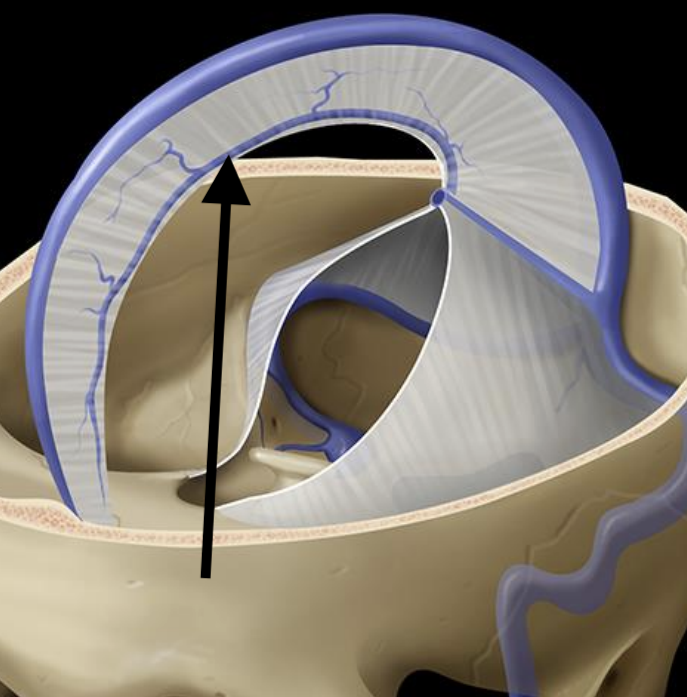 <p>Name the structure</p>